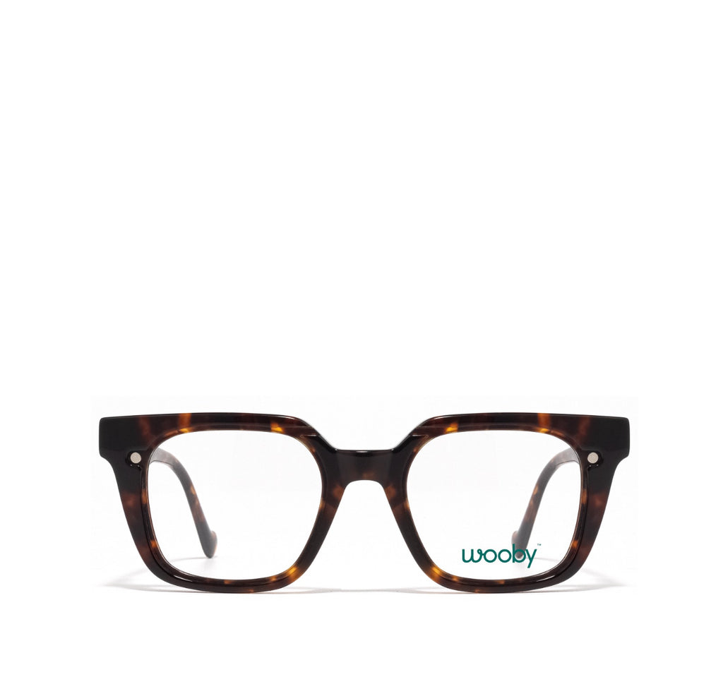 LUNETTE CLIP ON